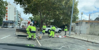 Posto fixo de Lisboa para testes &agrave; Covid-19  em prepara&ccedil;&atilde;o