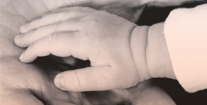 Delega&ccedil;&atilde;o de Espinho da Cruz Vermelha Portuguesa doa fraldas aos mais carenciados